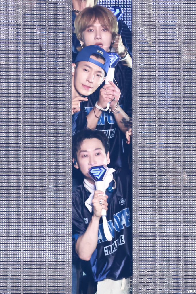 ᴀɴᴄʜᴏᴠʏᴏᴏ tweet media