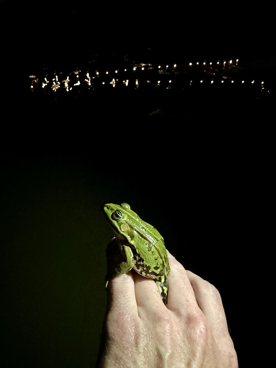 Fredrik Jutfelt @jutfelt.bsky.social tweet media