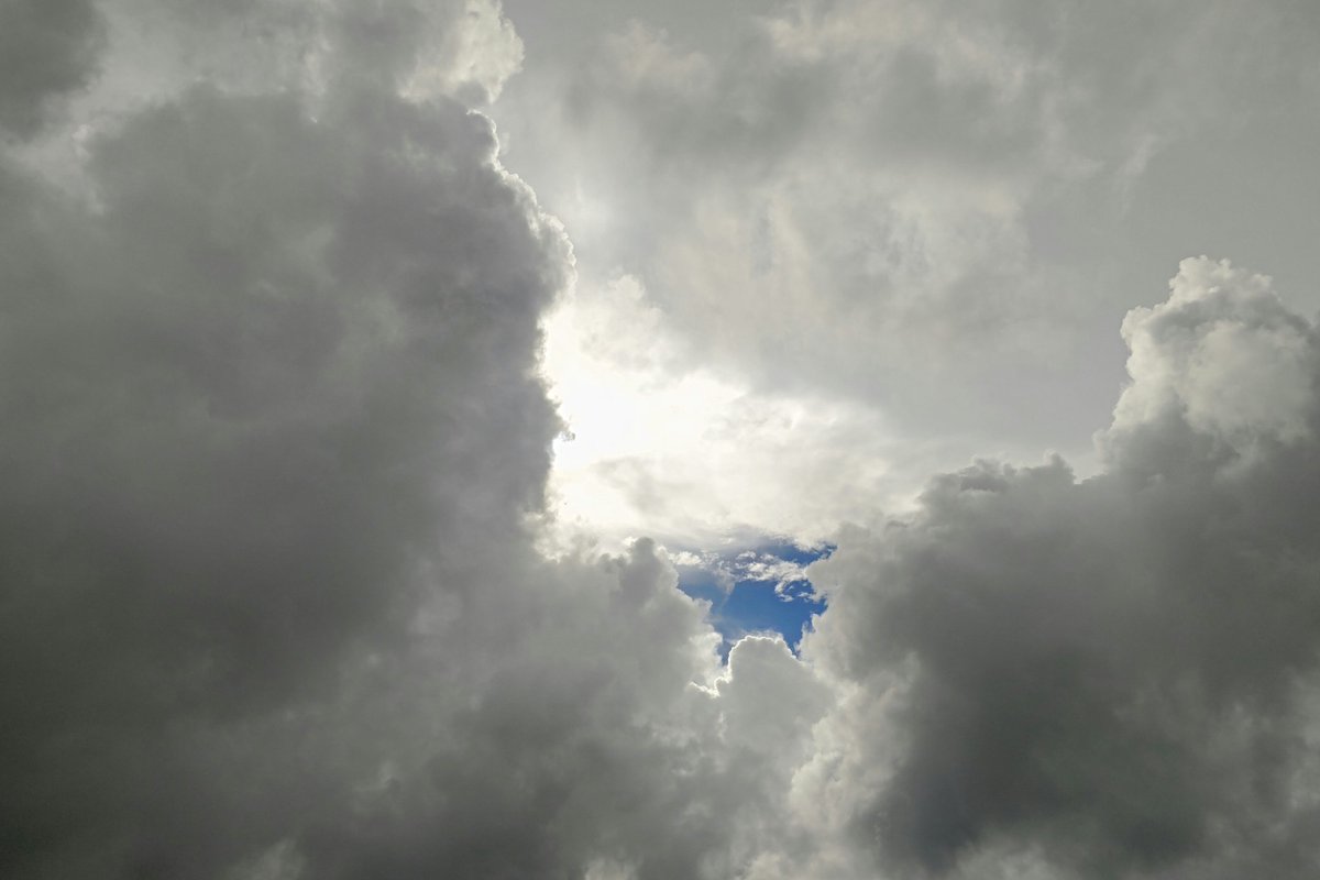 monkey4mountain's tweet photo. 🥷I felt like I'm almost closer to the heaven, but it wasn't. Be patient.🤡⚡
🕸🦾🦿🦴⛓️🔁🕷
#Training 🥷
#TrainingSaturday
#TrainingSunday
#Mountain
#Hiking
aaaand
#TrainingMask
#4km
#Running https://t.co/63ccNIwVab