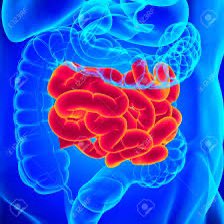 Pearl Avery 💙IBDNurse Grandmother PhD Candidate tweet media