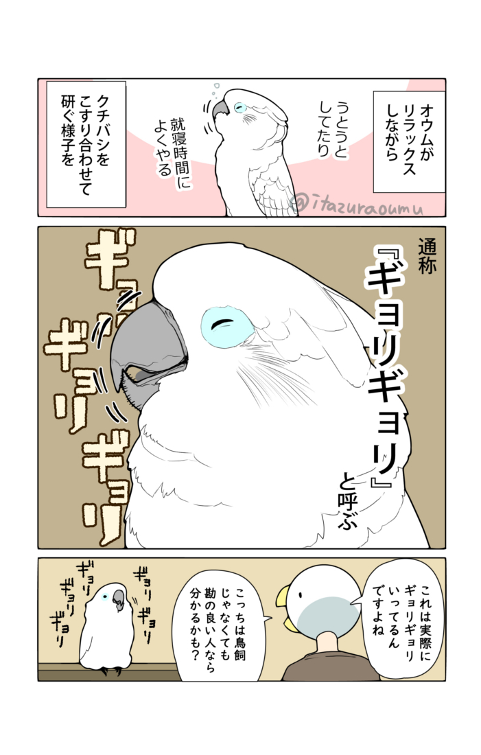 鳥飼なら意味が通じる共通用語 