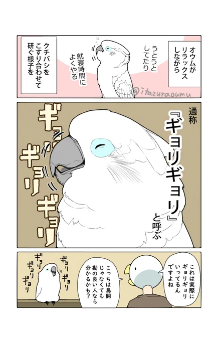 鳥飼なら意味が通じる共通用語 