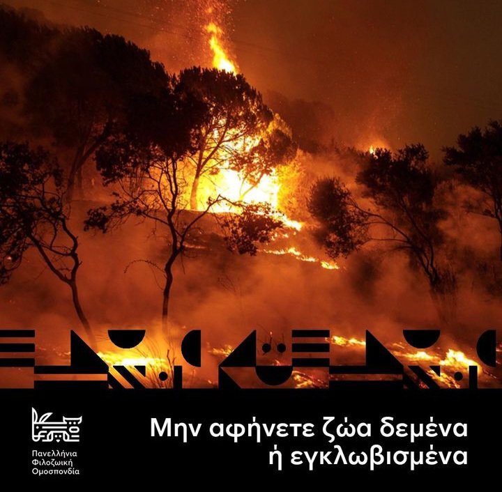 ippothesisGR: RT <a href="/MissLiLiMonster/">LiLiTheMonster</a>: #φωτιά
