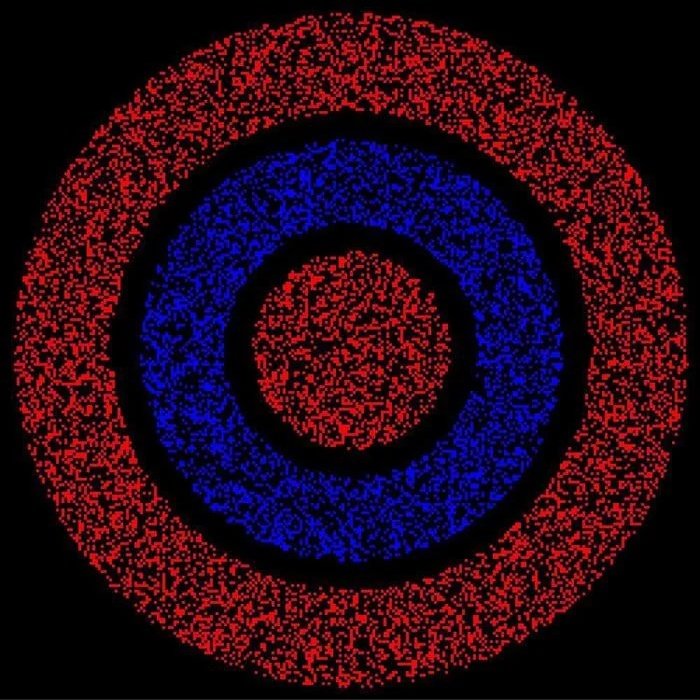 Wait What! WTF!? tweet media