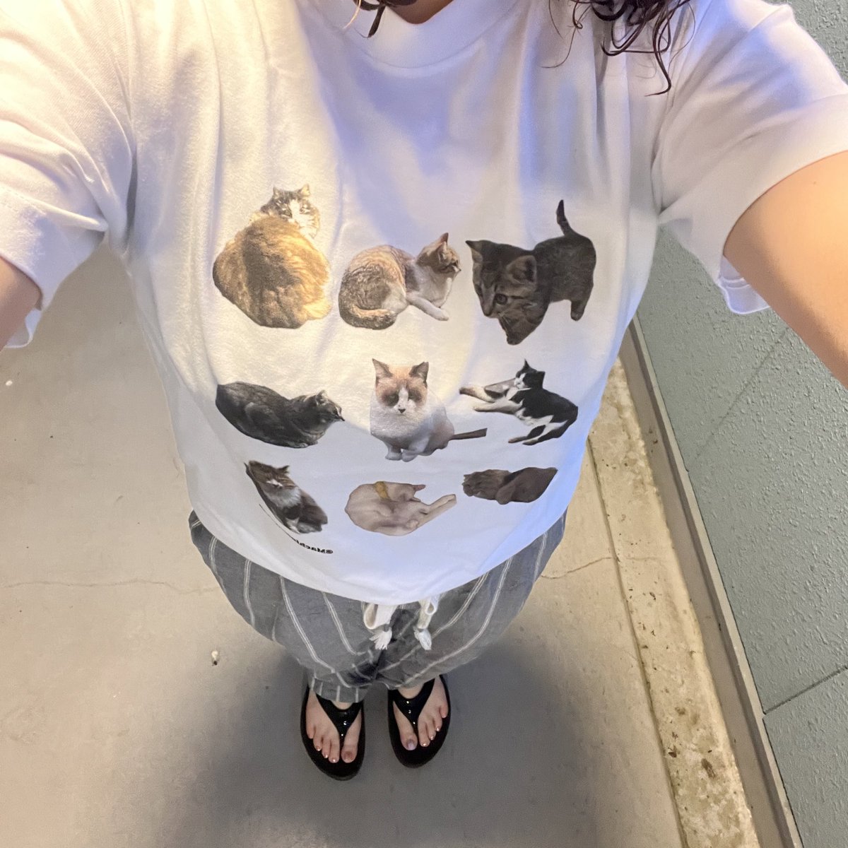 ユニクロで作ったオリジナルネコTシャツが可愛すぎる