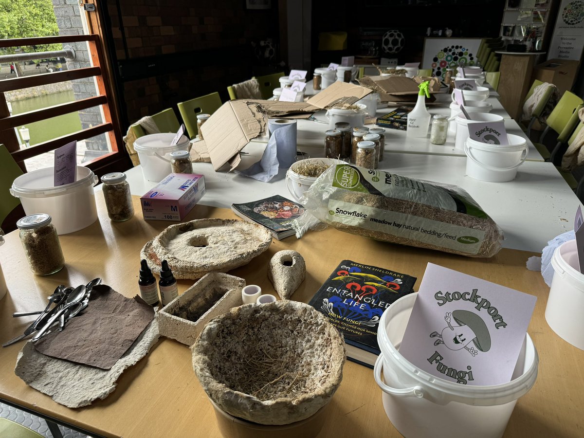 great final day of <a href="/blackcatfilms/">Adam Laity</a>’ More-Than-Human season <a href="/wshed/">Watershed</a>, with a packed showing of Björk-narrated Fungi doc, mushroom growing workshop by Stockport Fungi &amp; final screening of A Year in a Field, a meditative &amp; quietly radical film who’s star is a Cornish standing stone 🪨