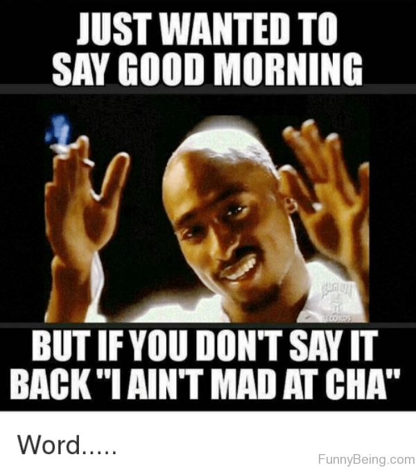 100x Altcoin Gems tweet media