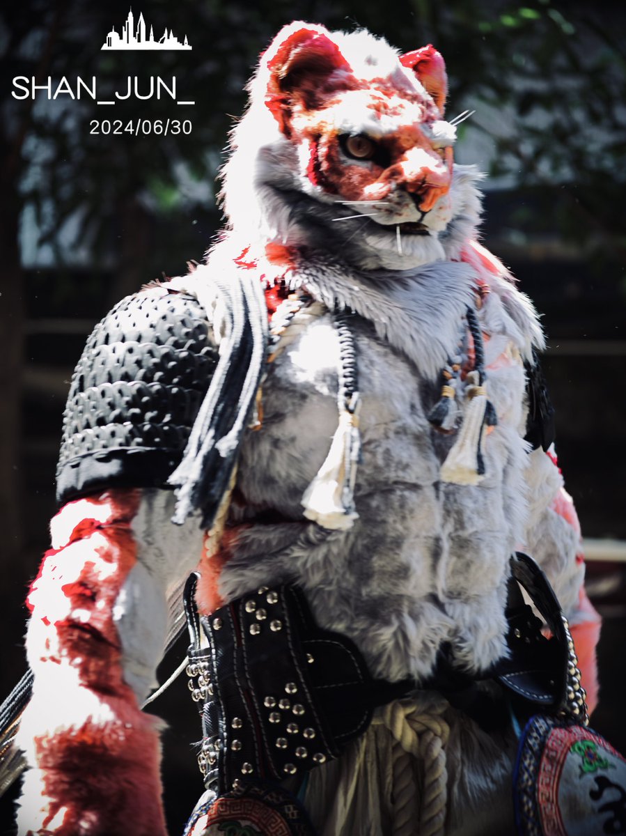 On the battlefield. #山君工坊#FursuitFriday 📷：@Qingsan73