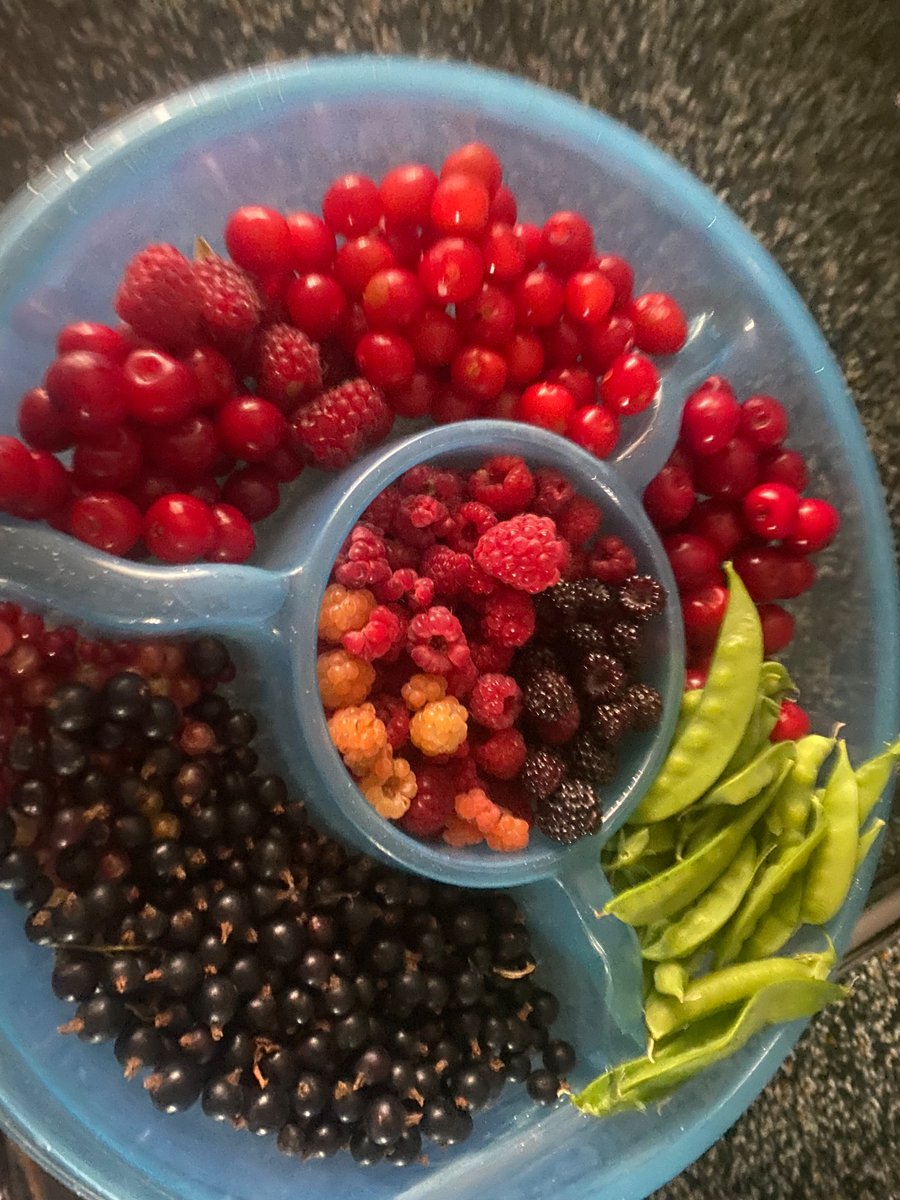 hmmm… not sure there is any room to add oatmeal to my fruit this am!