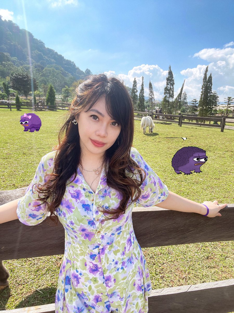 Widz (❖,❖) tweet media