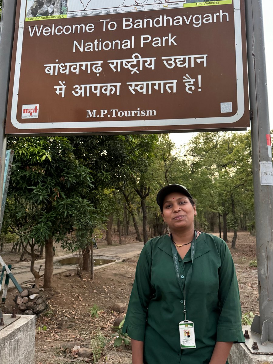 💚 As World Female Ranger Week wraps up, let’s celebrate the incredible women of <a href="/Tigers4Ever2010/">Tigers4Ever</a> Their work in Bandhavgarh is crucial for tiger conservation. 🐅👏 #WorldFemaleRangerWeek #Tigers4Ever #WomenInConservation #TigerConservation