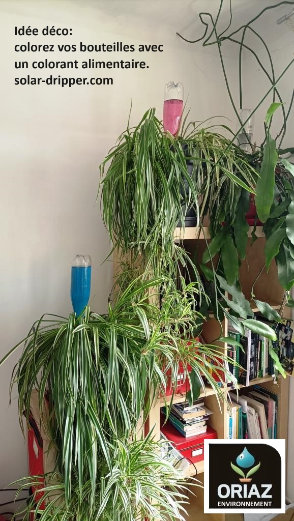 SolarDripper's tweet image. Idée du jour: l&apos;arrosage coloré décoratif.  Idea of the day: The Solar-Dripper decorative bottles !