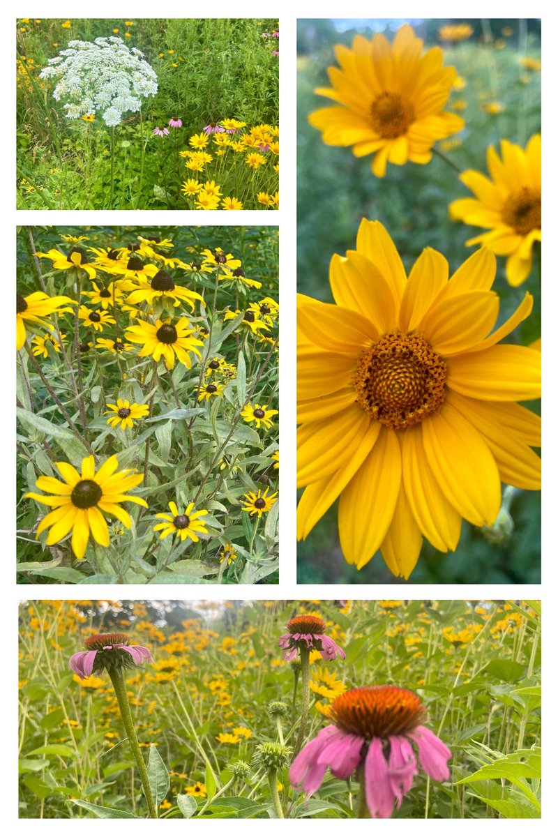 Nate Eppink tweet media