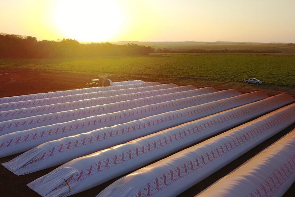 elbonanews's tweet image. 🔴"No va a haber #devaluación y la #gente va a tener que #liquidar #dólares"

🔴Fuertes declaraciones del jefe de #Gabinete, Guillermo #Francos, quien disparó contra el #campo, de elemental raigambre #bonaerense: "Le pido al sector #agropecuario que liquide la #producción".

Leé