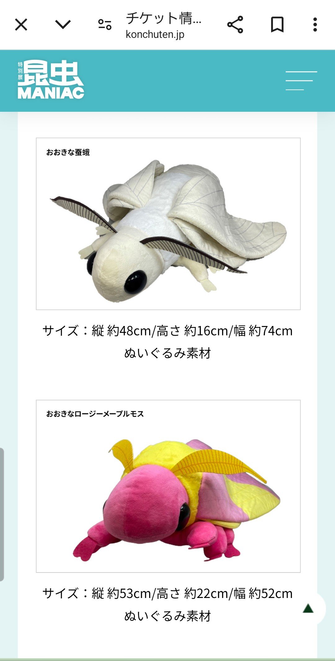 あみ様専用 特別展 昆虫 MANIAC 気まず 限定チケット オリジナル 蚕蛾 