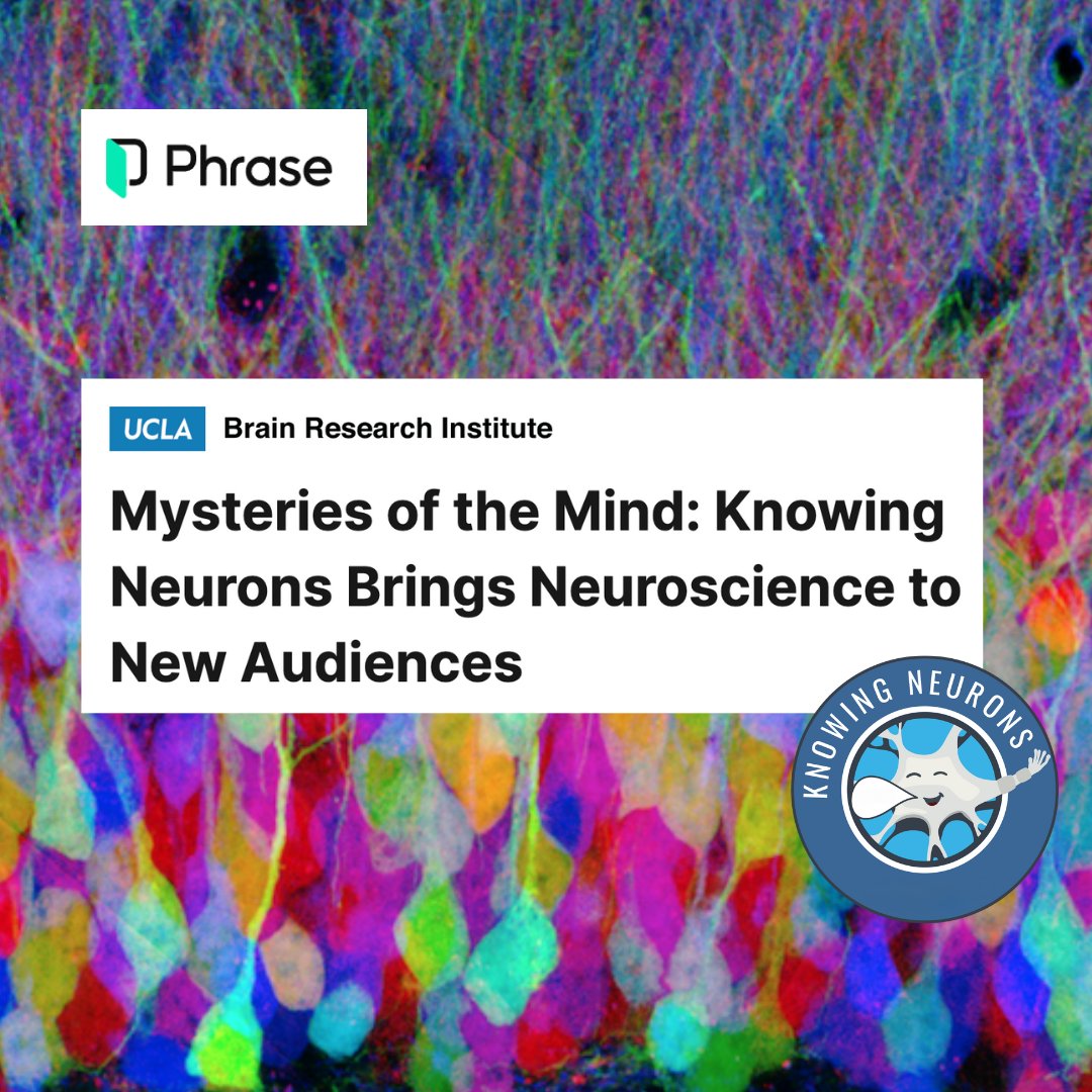 Knowing Neurons tweet media