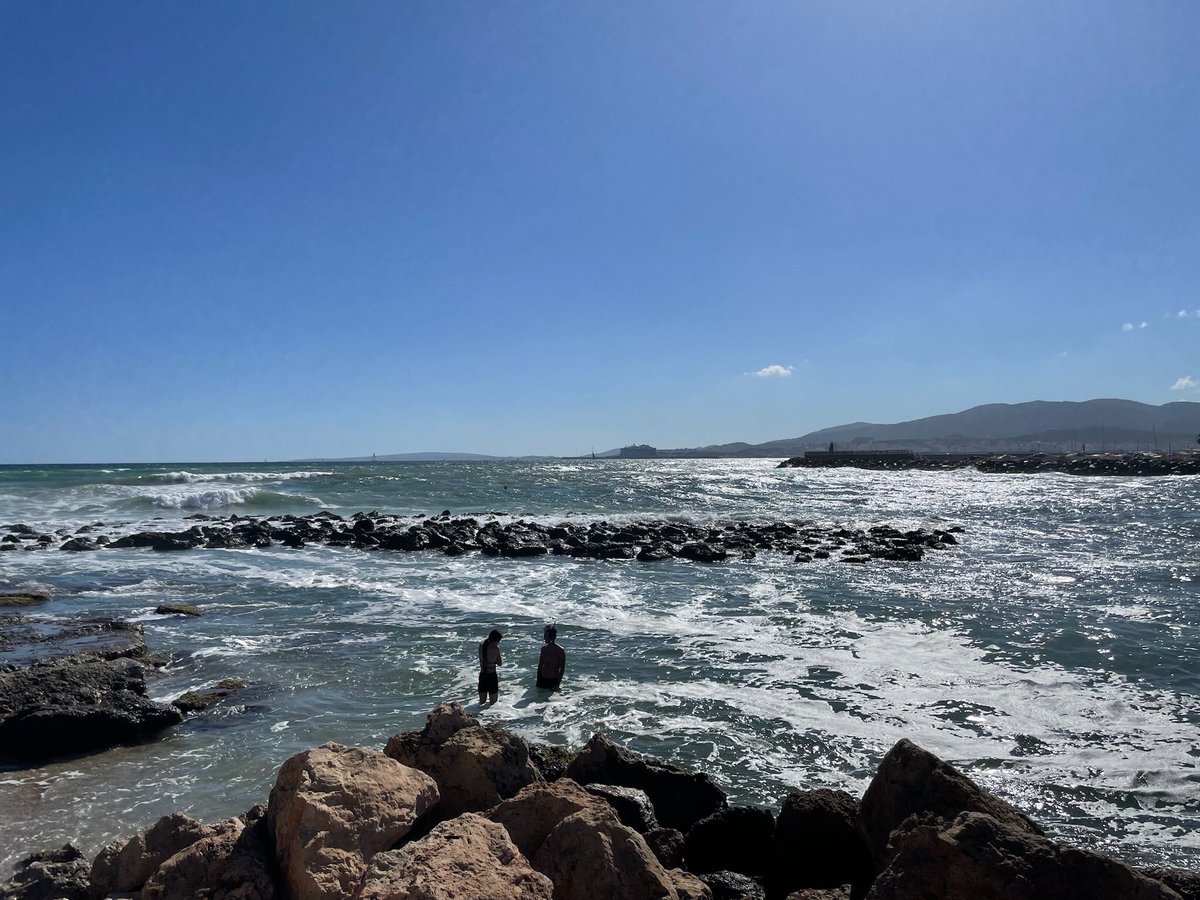 Lovely day in #Palma relaxing before the #Edulearn24 conference!