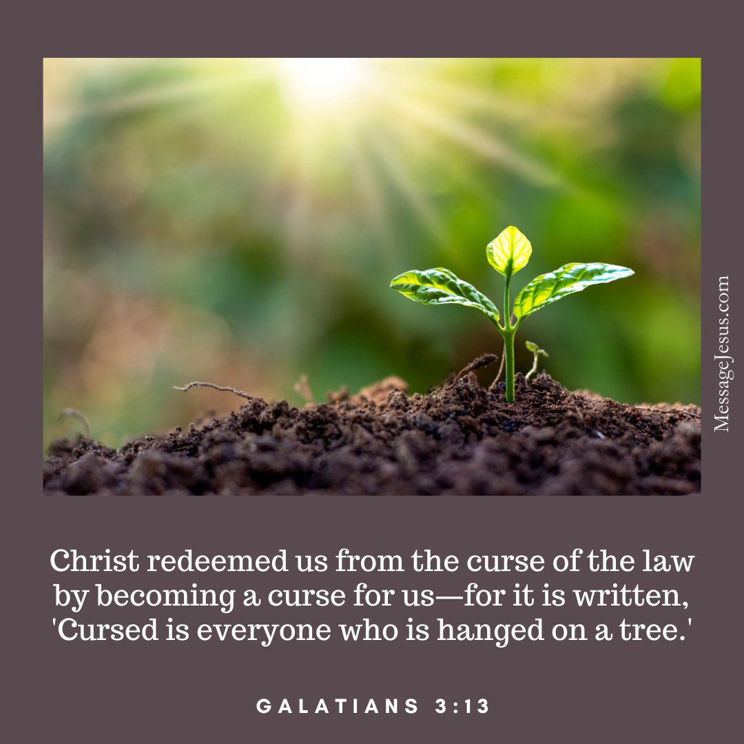 TheMessageJesus's tweet photo. Do you realize how much it cost Jesus to save us from eternal condemnation and curse?

He was cursed and condemned instead of us.

Come to Jesus now! https://t.co/8YfUjLor2C