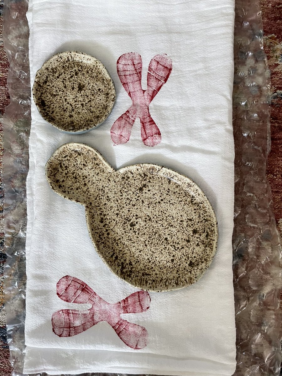 Got this very cute present from former postdoctoral fellow Erica Polleys @EricaJeanPhD who contributed so much to my lab’s research. Made by a former grad student in our department who sells great science stuff on Etsy