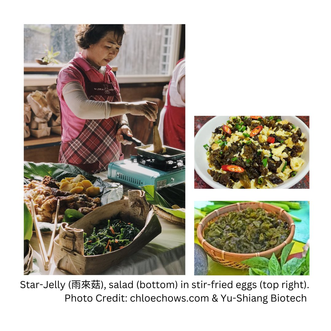 B4 (@bbbb_welcome) on Twitter photo Grateful to be featured in DICED - a publication by the Institute of Culinary Education <a href="/iceculinary/">Institute of Culinary Education - NY & LA</a> on the hidden gems in authentic Indigenous Taiwanese cuisine. Here’s the extended mix of our take - enjoy!
ice.edu/blog/discover-…
#madeintaiwan #lesdamesdescoffier #asiancuisine Grateful to be featured in DICED - a publication by the Institute of Culinary Education <a href="/iceculinary/">Institute of Culinary Education - NY & LA</a> on the hidden gems in authentic Indigenous Taiwanese cuisine. Here’s the extended mix of our take - enjoy!
ice.edu/blog/discover-…
#madeintaiwan #lesdamesdescoffier #asiancuisine