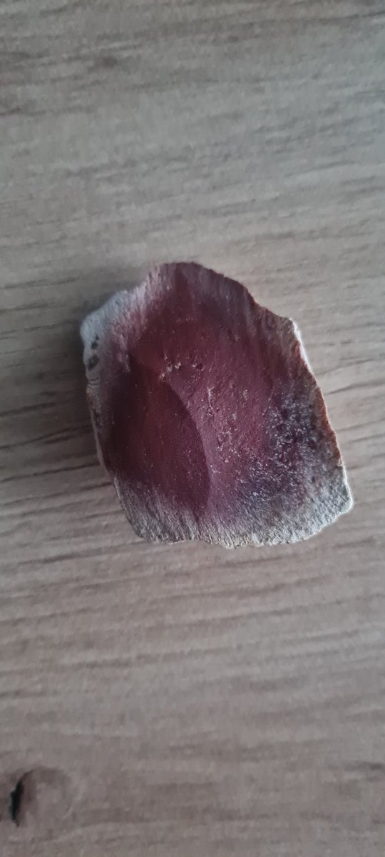 19Kath93's tweet photo. #versteinertesHolz #stonedwood #Minerals #Mineralien #Edelstein #gemstone #Sammlung #collection #Leidenschaft #passion #Kraft #Power #Heilstein https://t.co/ITAnoUuN27
