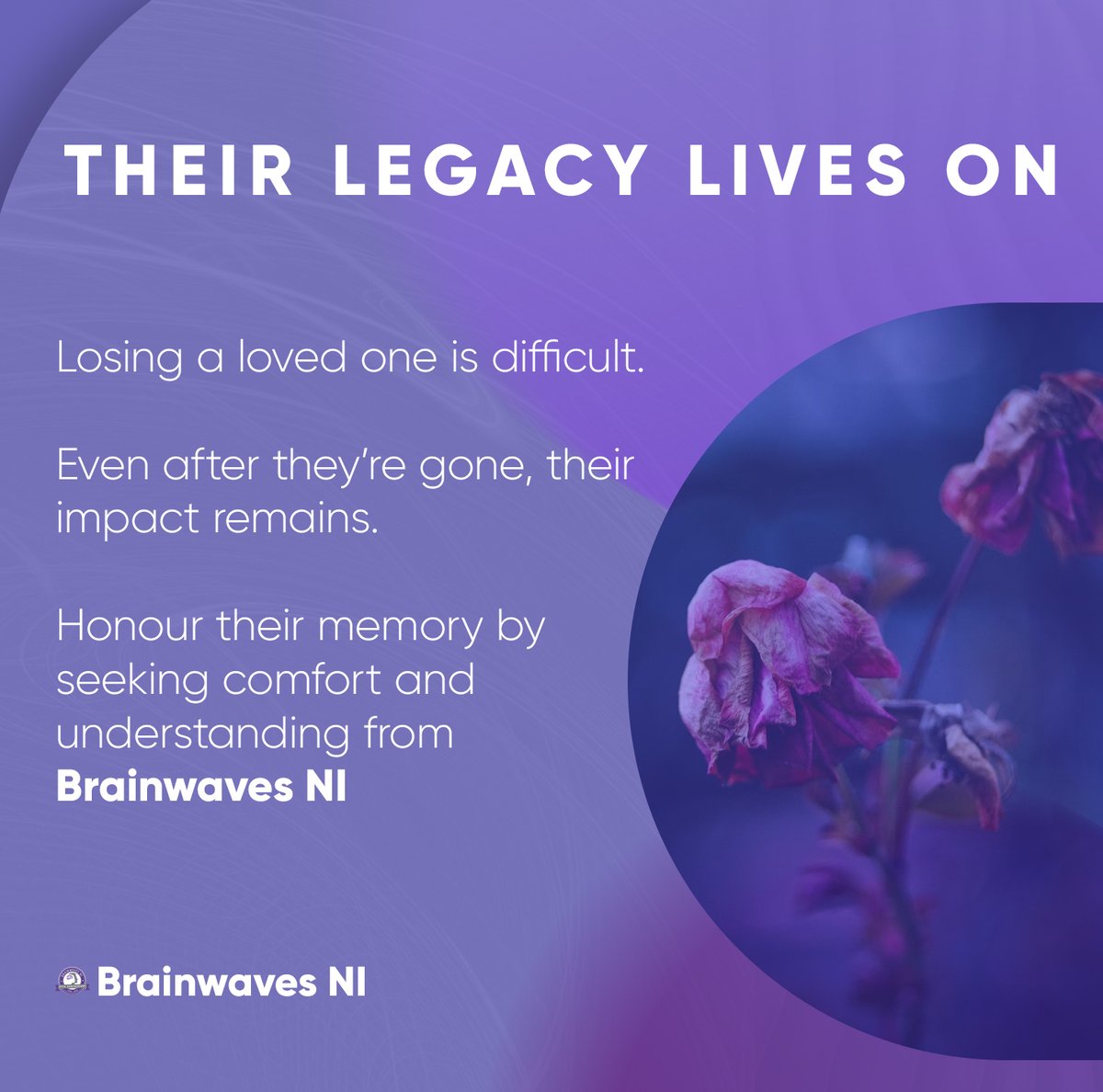 Brainwaves NI tweet media