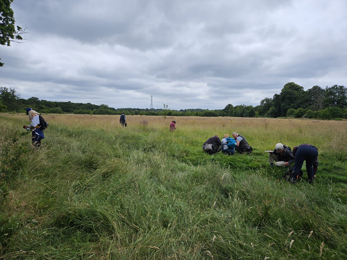Wiltshire and Swindon Biological Records Centre tweet media