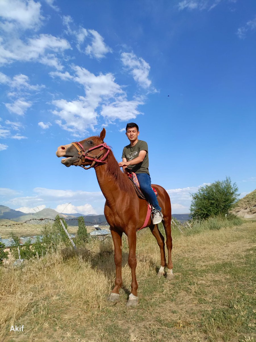 Altaylardan Tunaya'
#Ulupamir