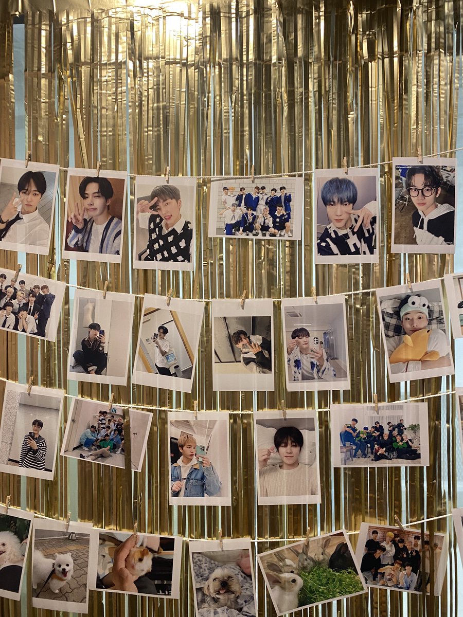 cutestaroha's tweet image. เฟ่ปี3สนุกมากๆค่ะ เซอร์ไพร์สมากเลยที่มีชาวป่าชาววัวเยอะขึ้นในไทย อยู่กับโอเอ้กด้วยกันไปนานๆนะคะ แอบเสียดายที่ทำกอว.ไปนิดเดียว ใครรับน้องโอเอ้กจิ๋วไปอยู่ด้วยก็ขอบคุณมากๆเลยนะคะเราตั้งใจทำมากๆ ไว้คอนโอเอ้กจะทำไปแจกเยอะๆเลย
#OMEGA_X 
#Lets_Play_With_OX
#OMEGA_X_3rd_Debut_Anniversary