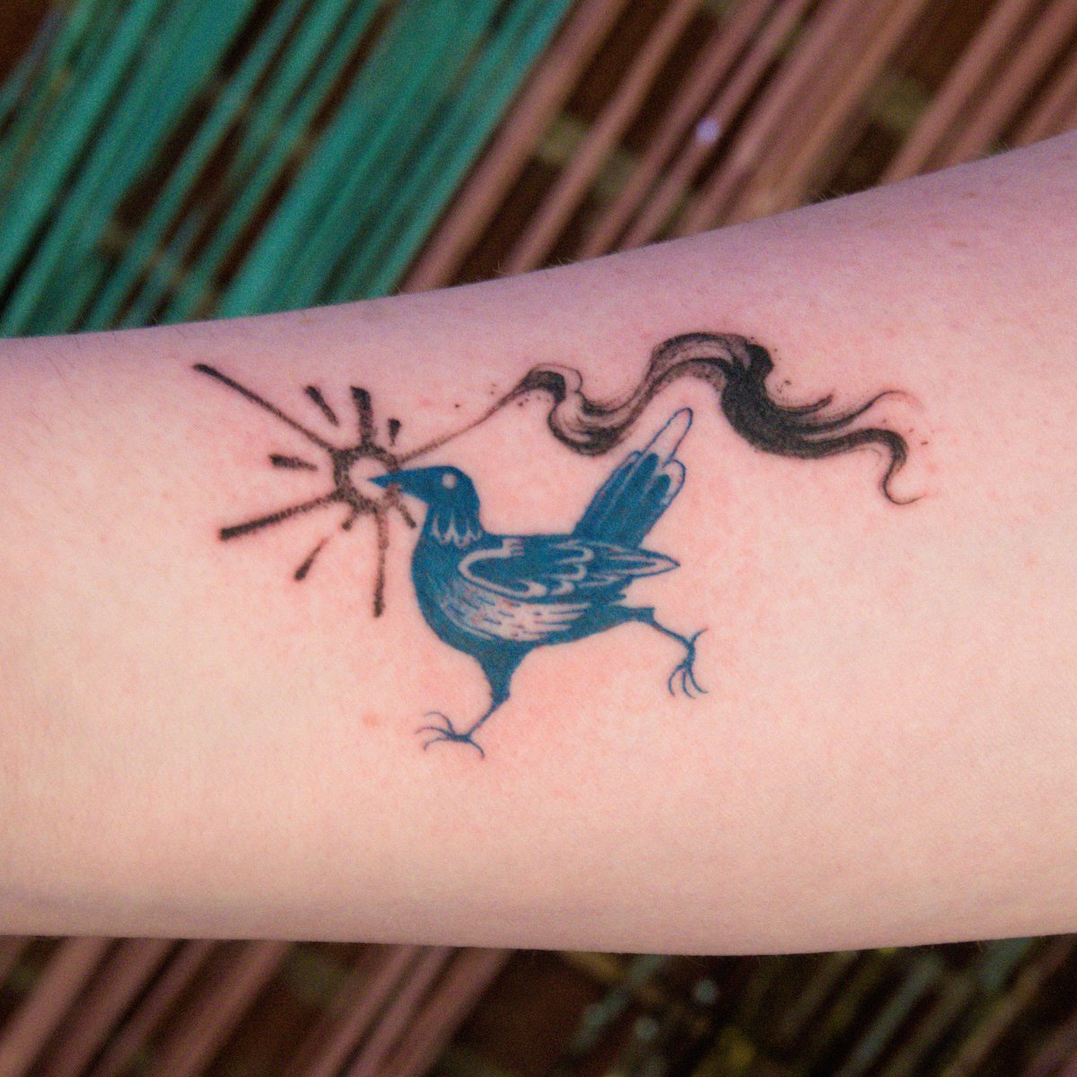 Little crow for my old friend Scout! 🐦‍⬛✨