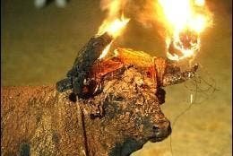 AmaregarDefensoraAnimalista, EcoFeminista tweet media
