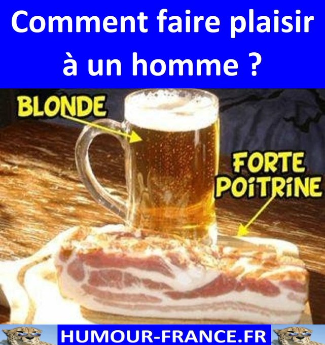 text alternatif
