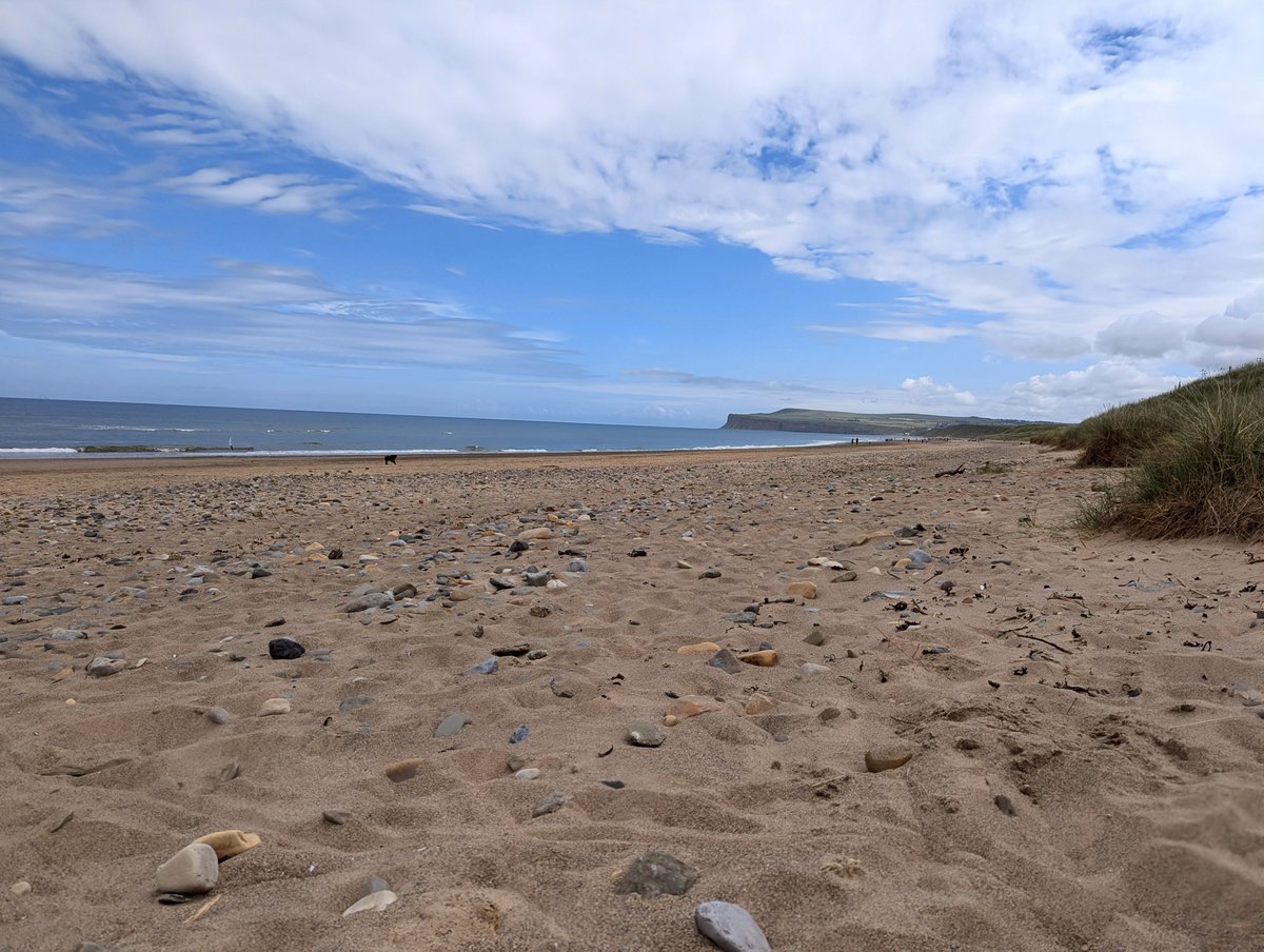 #30DaysWild Day 30: taking in peaceful beach vibes breathing in space while kids splash. This challenge has taught me to embrace the Art of Slow. And opened my eyes to tough times for nature. #silentspring was a big shock, but with our help to #RestoreNatureNow it will recover 🌱