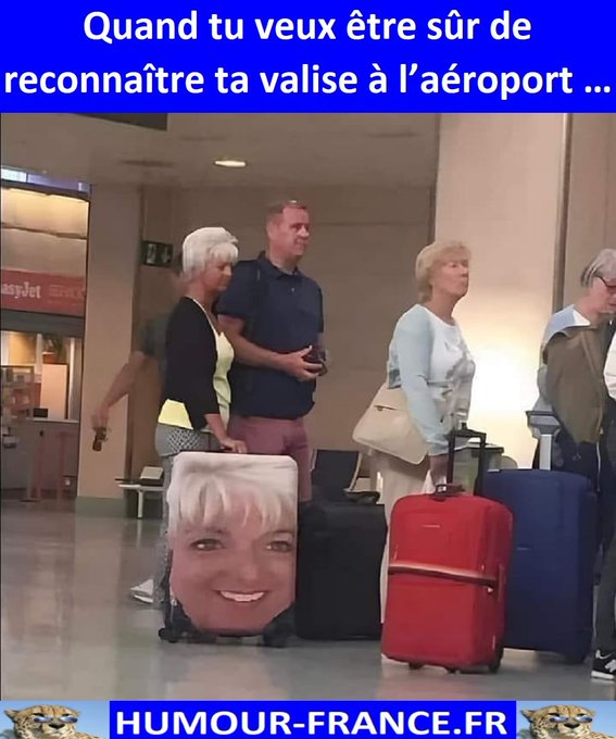 text alternatif
