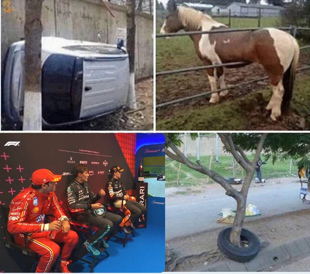 laufelicciano's tweet photo. Cosas que no tienes idea de cómo llegaron ahí: https://t.co/YTnT7LGG85