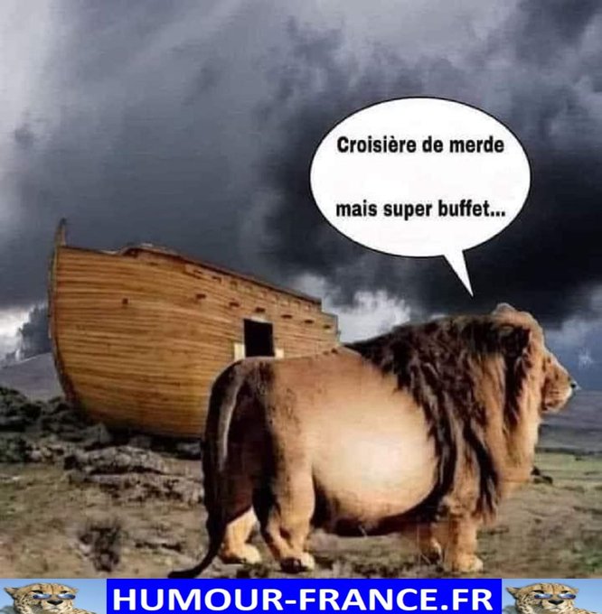 text alternatif