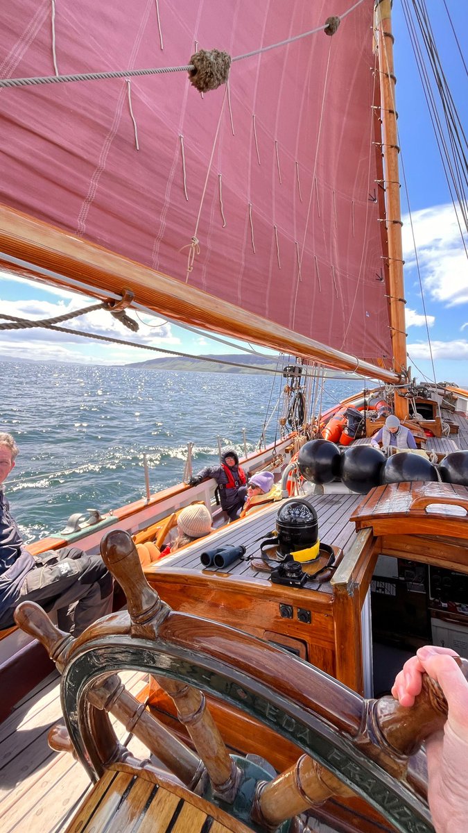 Dr Roger Blue Stabbins (スタビン　ロジェ　ブルー) tweet media