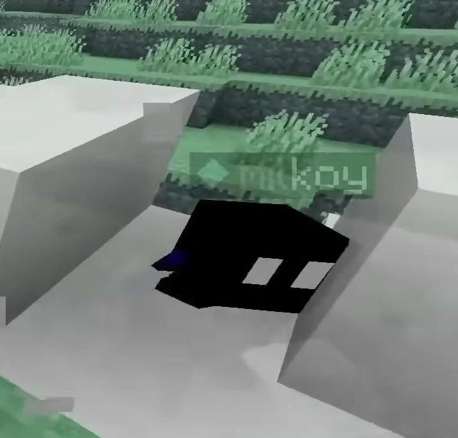 진짜 너무 잘보인다