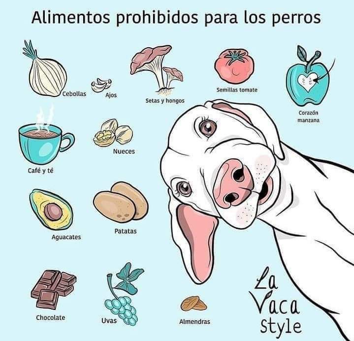 Ricardo (@ricsepul) on Twitter photo 