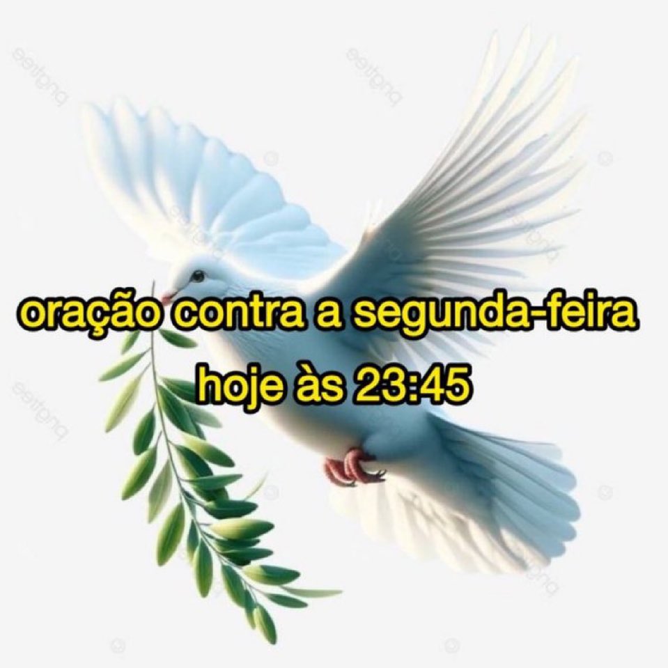Trouxinha (@euovitinn) on Twitter photo 