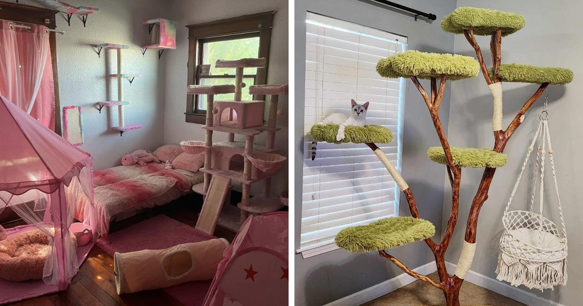 Matthew Plotkin tweet media