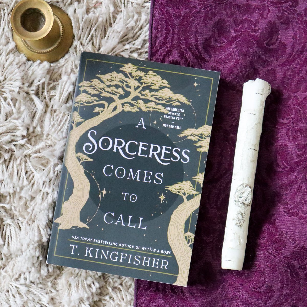 Tor Books (@torbooks) on Twitter photo From The <a href="/nytimes/">The New York Times</a> bestselling and Hugo Award-winning author <a href="/UrsulaV/">Kingfisher & Wombat</a> comes #ASorceressComestoCall—a dark reimagining of the Brothers Grimm's "The Goose Girl," rife with secrets, murder, and forbidden magic. Coming 8/6! ✨
bit.ly/4b2phB1 From The <a href="/nytimes/">The New York Times</a> bestselling and Hugo Award-winning author <a href="/UrsulaV/">Kingfisher & Wombat</a> comes #ASorceressComestoCall—a dark reimagining of the Brothers Grimm's "The Goose Girl," rife with secrets, murder, and forbidden magic. Coming 8/6! ✨
bit.ly/4b2phB1