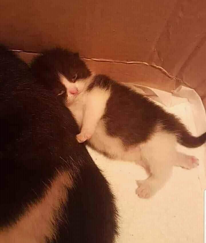ulat_bulu_bulu's tweet photo. Ah, isnin lagi. https://t.co/hLvUhYeMlt