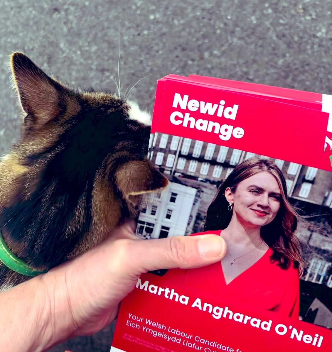 Jayne Bryant Newport West (@jbryantwales) on Twitter photo Lovely few hours speaking with residents in Caerfyrddin to support the wonderful <a href="/MarthaAngharad/">Martha OβNeil</a> πΉ
Top campaigning team <a href="/jessicamordenmp/">Jessica Morden MP</a>, Mali and Pearl
Even some campaigning cats β₯οΈ Lovely few hours speaking with residents in Caerfyrddin to support the wonderful <a href="/MarthaAngharad/">Martha OβNeil</a> πΉ
Top campaigning team <a href="/jessicamordenmp/">Jessica Morden MP</a>, Mali and Pearl
Even some campaigning cats β₯οΈ