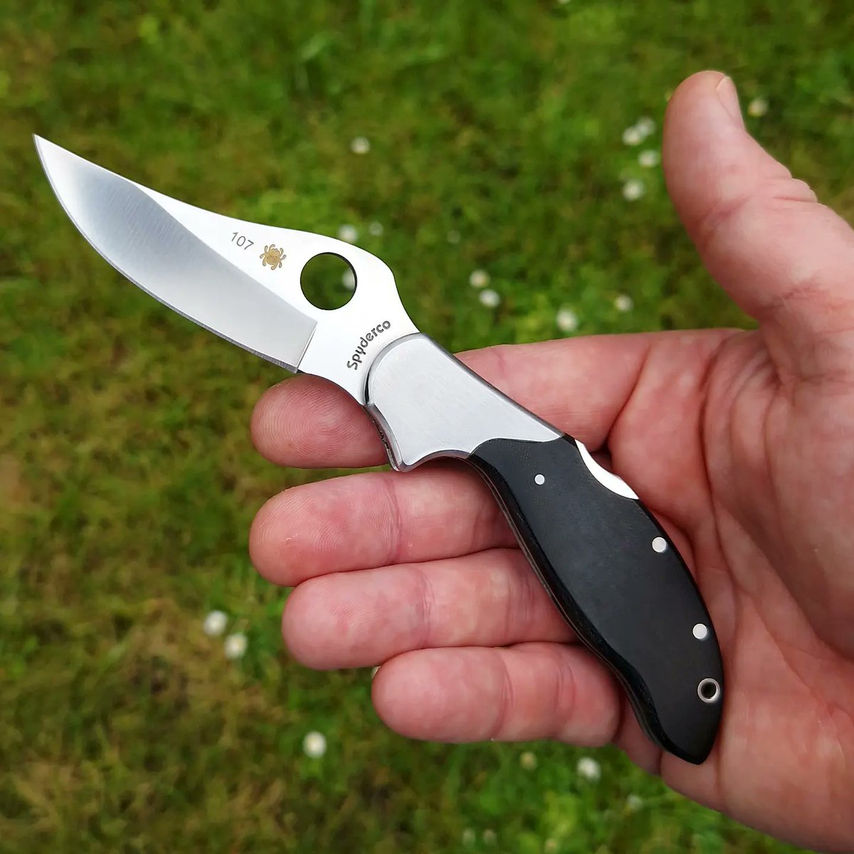 spydercollector's tweet photo. Yesterday's round of my #spyderquiz featured the #spyderco #edschempp C105 #persian 75mm, better known as the mini persian. https://t.co/P8BUDfNCP4