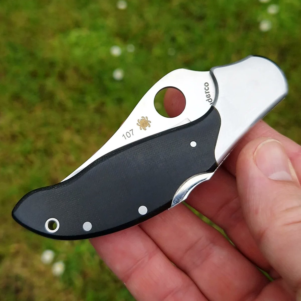 spydercollector's tweet photo. Yesterday's round of my #spyderquiz featured the #spyderco #edschempp C105 #persian 75mm, better known as the mini persian. https://t.co/P8BUDfNCP4