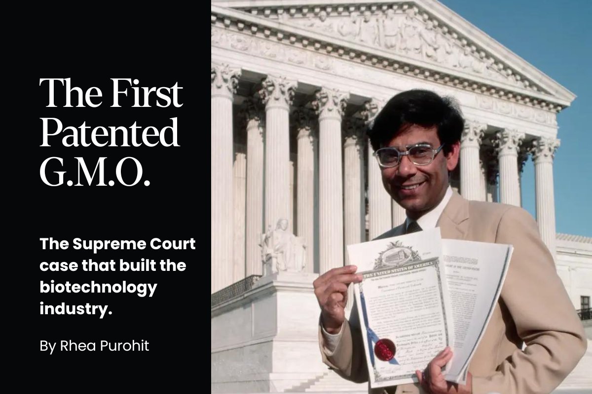 In June 1980, the Supreme Court ruled that scientists could patent living organisms that had been genetically altered.

Their decision made the modern biotechnology industry possible.

This is the story of Diamond v. Chakrabarty.

press.asimov.com/articles/gmo-p…