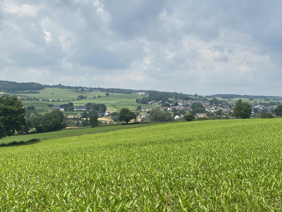 sjutterke's tweet image. wandelen in de buurt van Mechelen (NL-Limburg) (2)