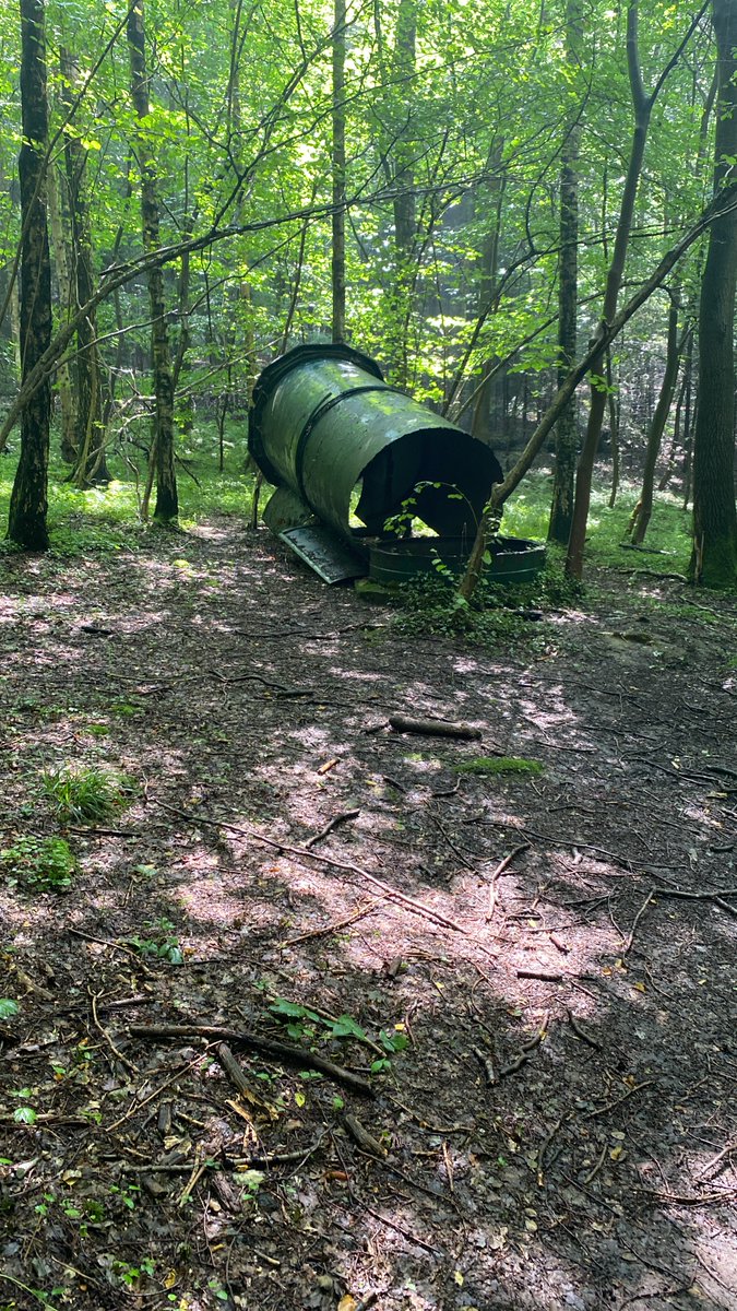 sjutterke's tweet image. wandelen in de buurt van Mechelen (NL-Limburg) (2)