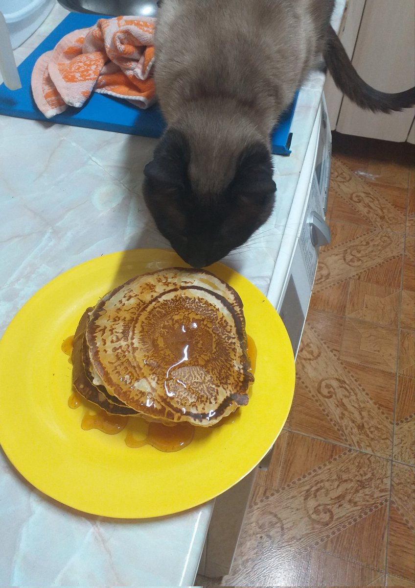 eloycrak14's tweet photo. Hello Niko! I made pancakes for your aniversary. :D
#OneShot10 #OneshotGame #OneShot https://t.co/6xaZKXOxTQ